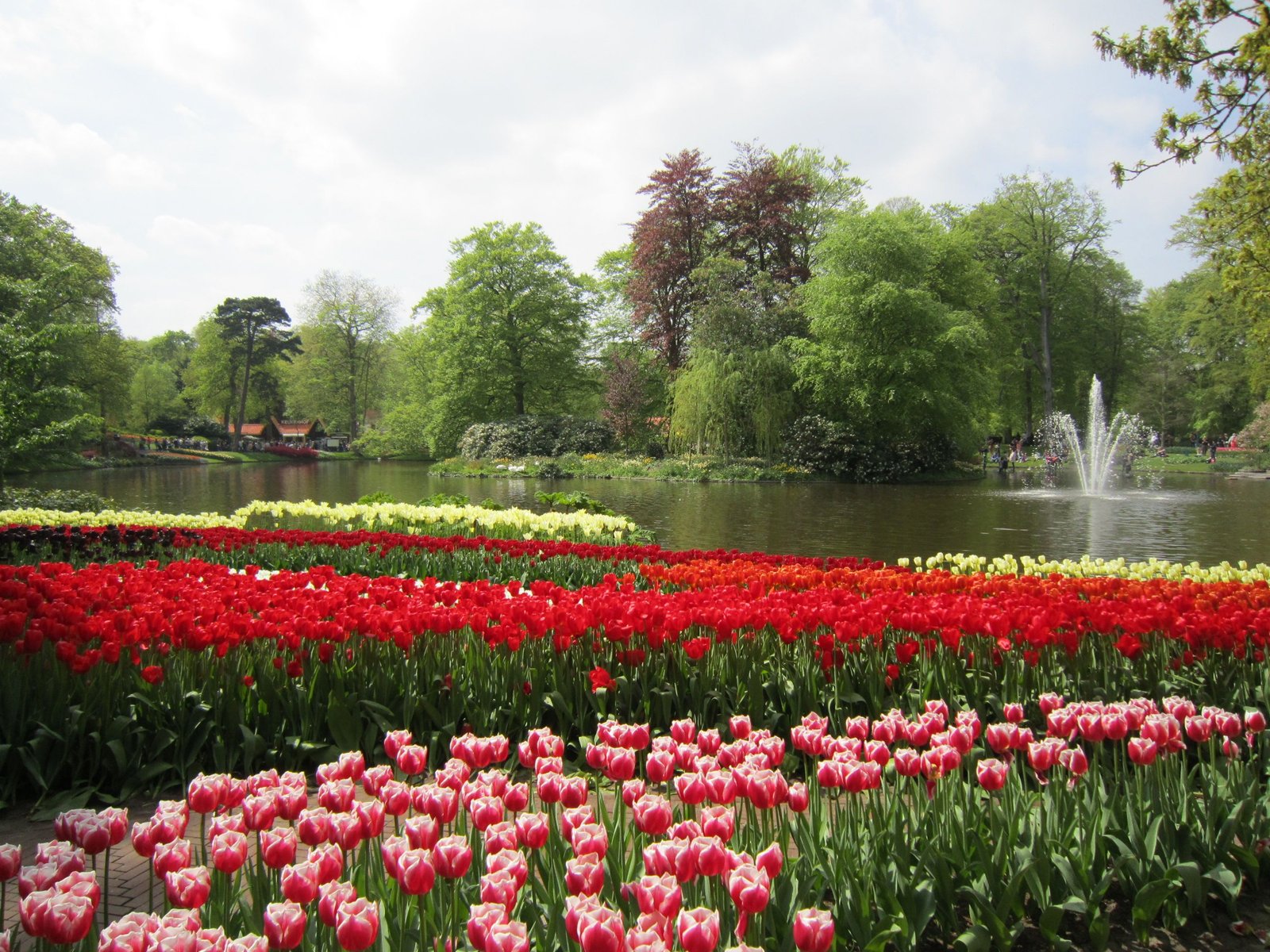 the netherlands (holland) ep3 : "keukenhof " the world's largest