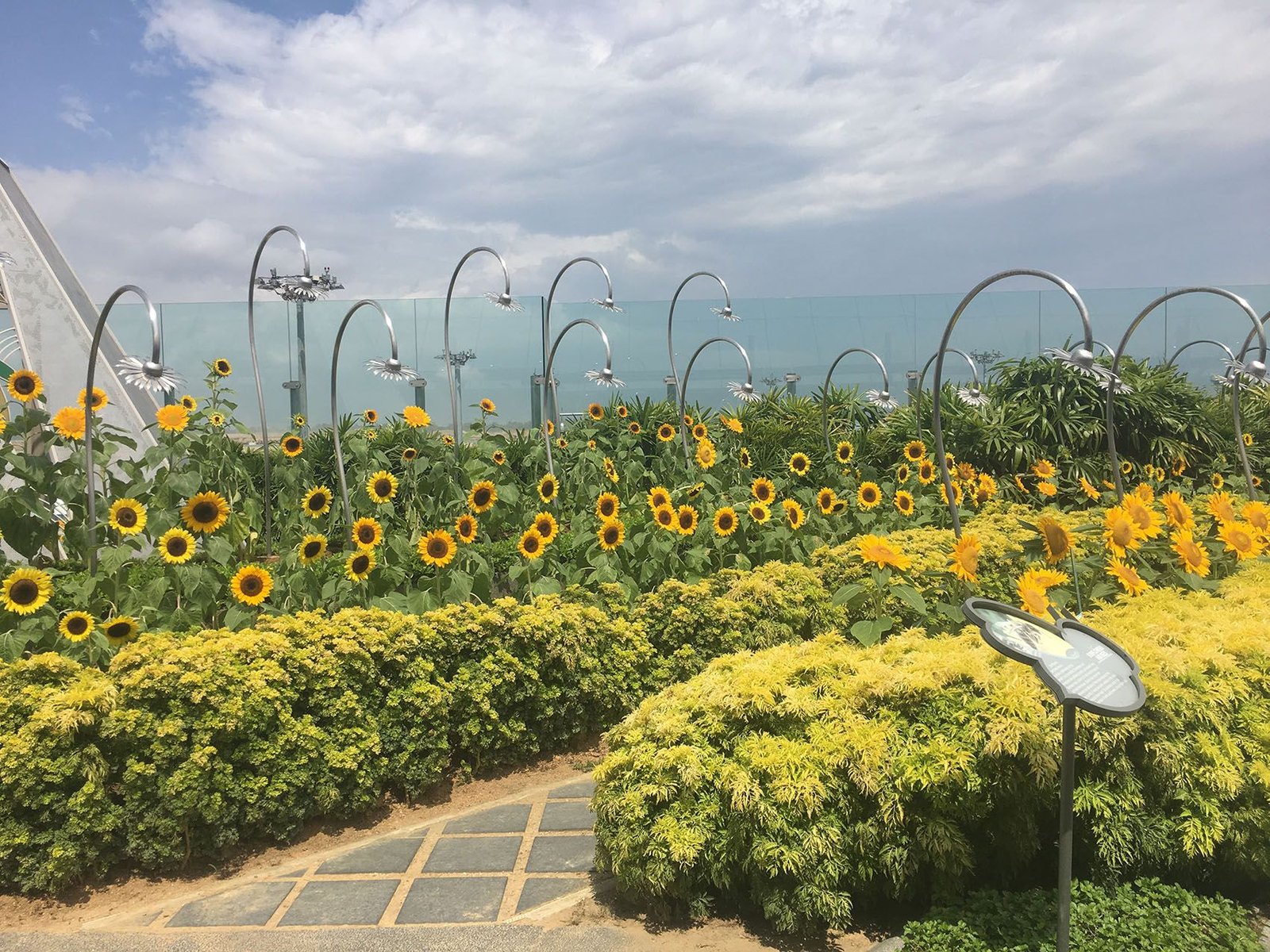 best airport in the world? changi airport in singapore — steemit