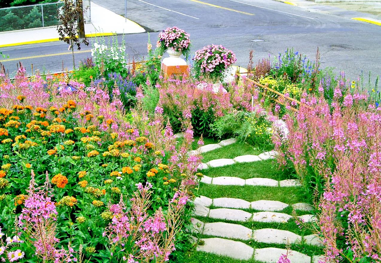 13 hillside landscaping ideas to maximize your yard