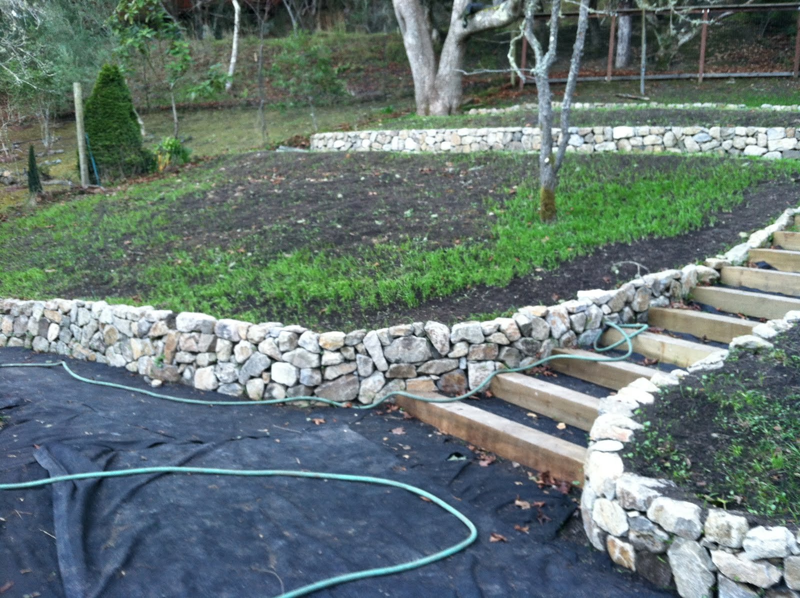 hill backyard landscaping ideas | mystical designs and tags