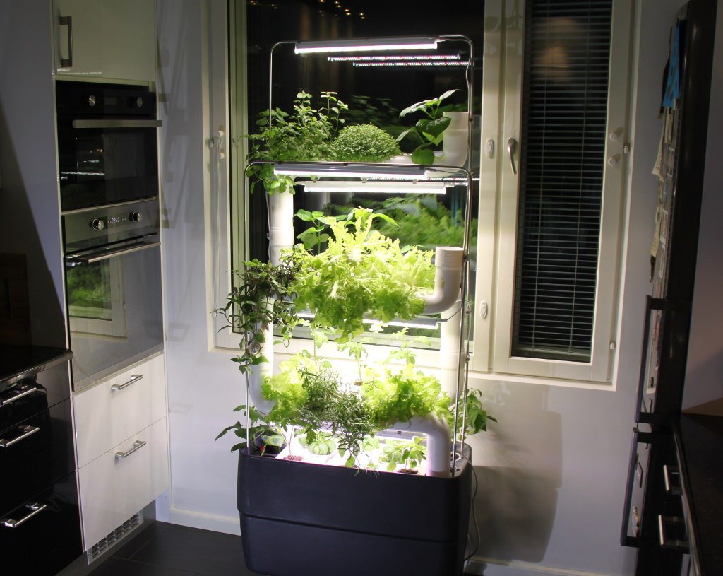 Vertical Farming is food growing with Hydroponic Urban Farm