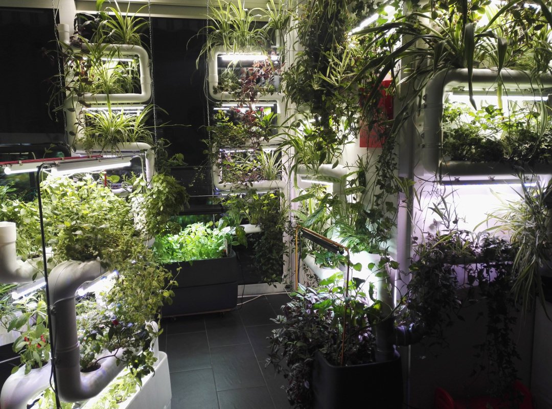 Supragarden® Green Wall system Kit to home and office ...