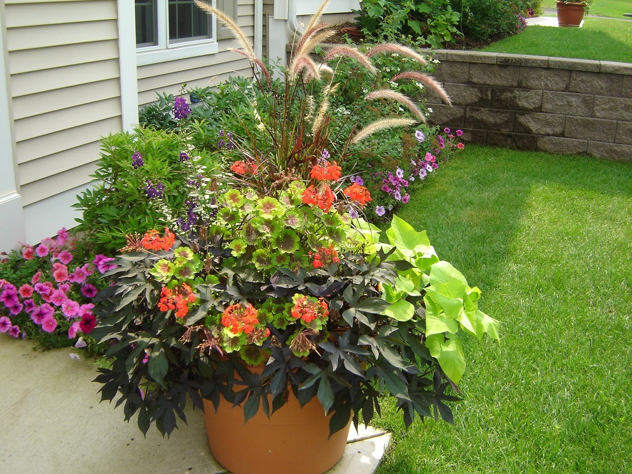 plant container gardening ideas