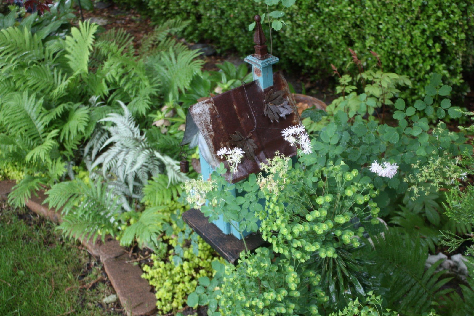 what to do with herbs? learn at the feb 19 flower garden and nature