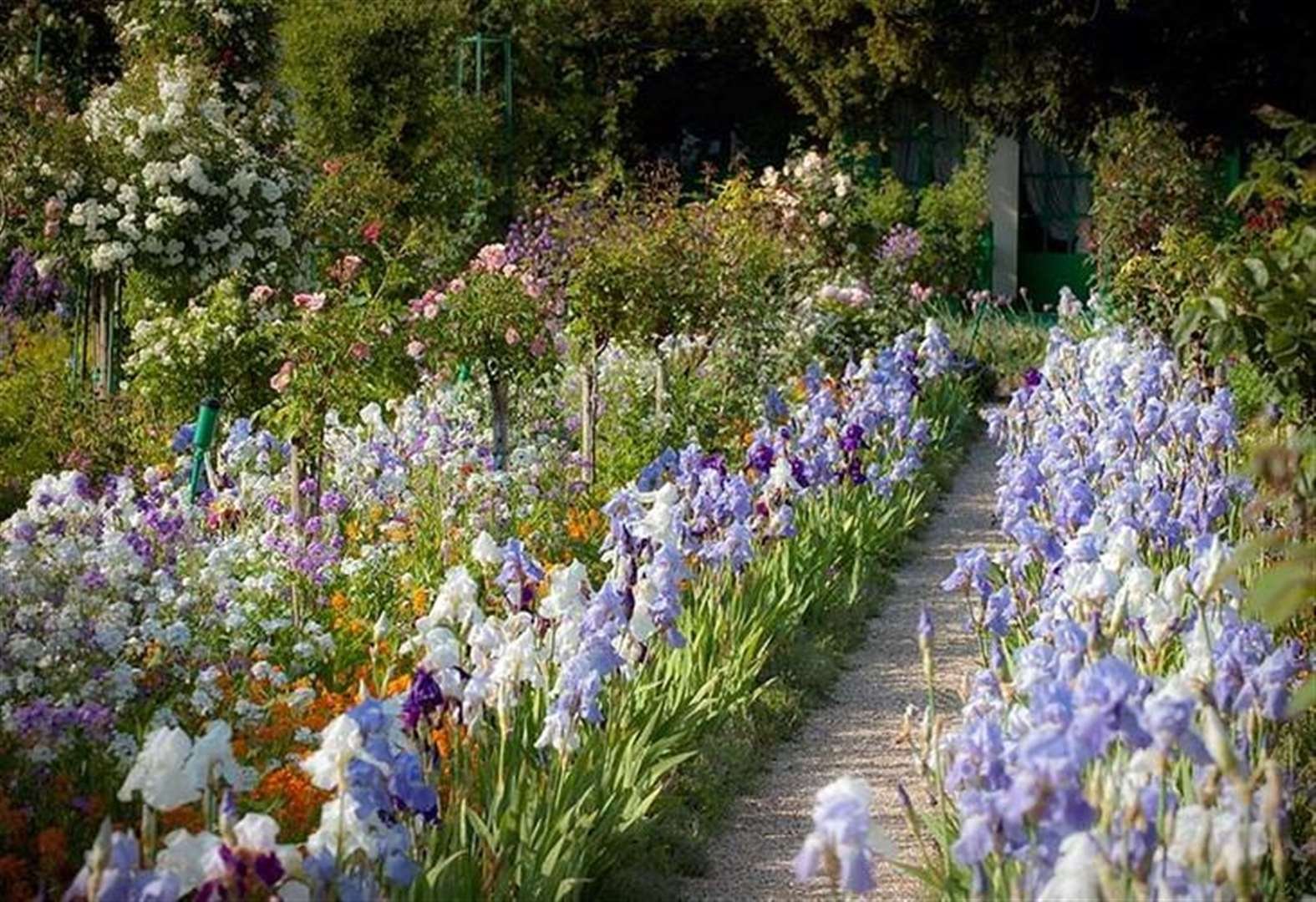 rhs chelsea: kent grower to create historic display for family who