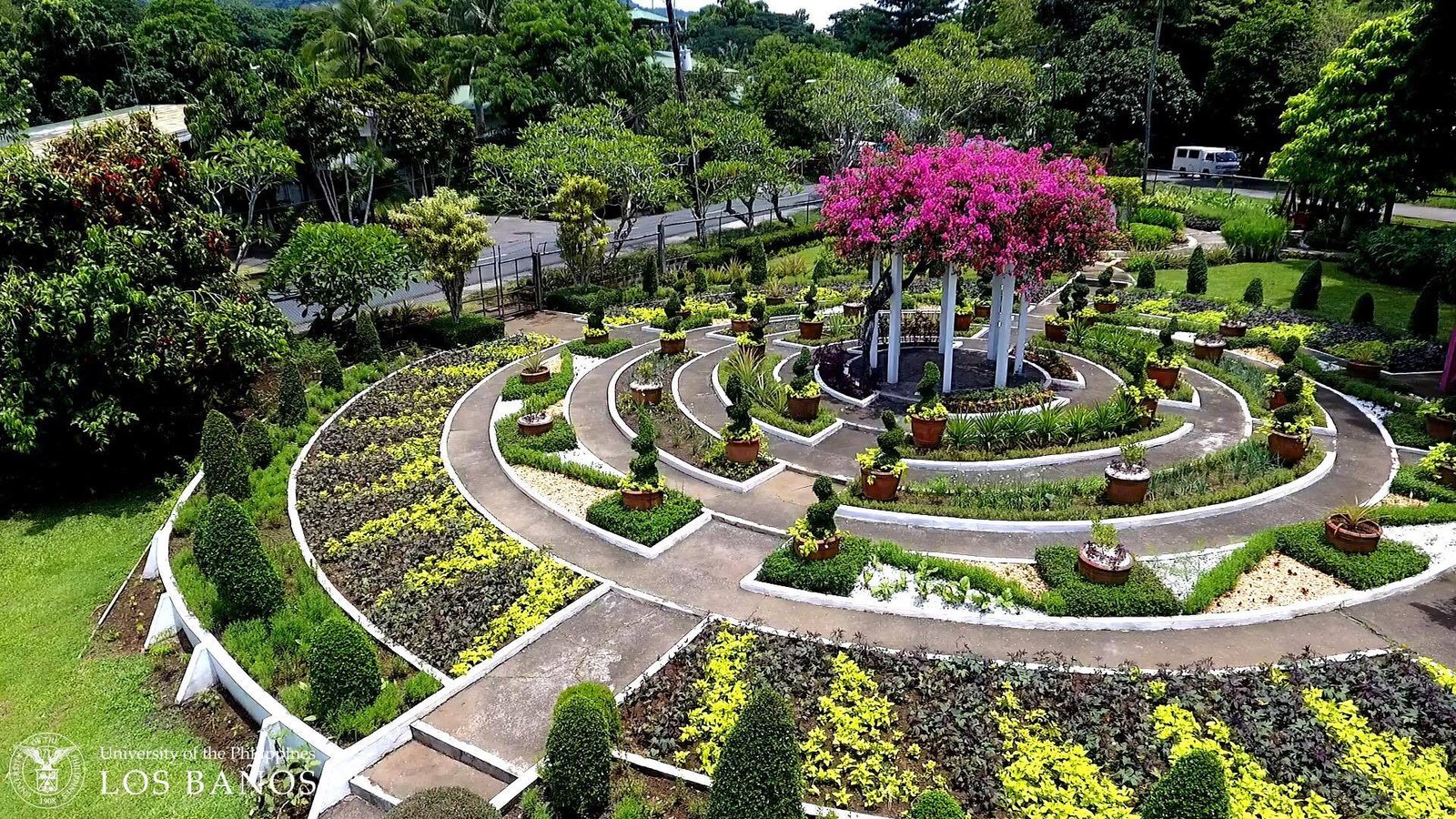 look: up los banos' stunning edible garden | abs-cbn news