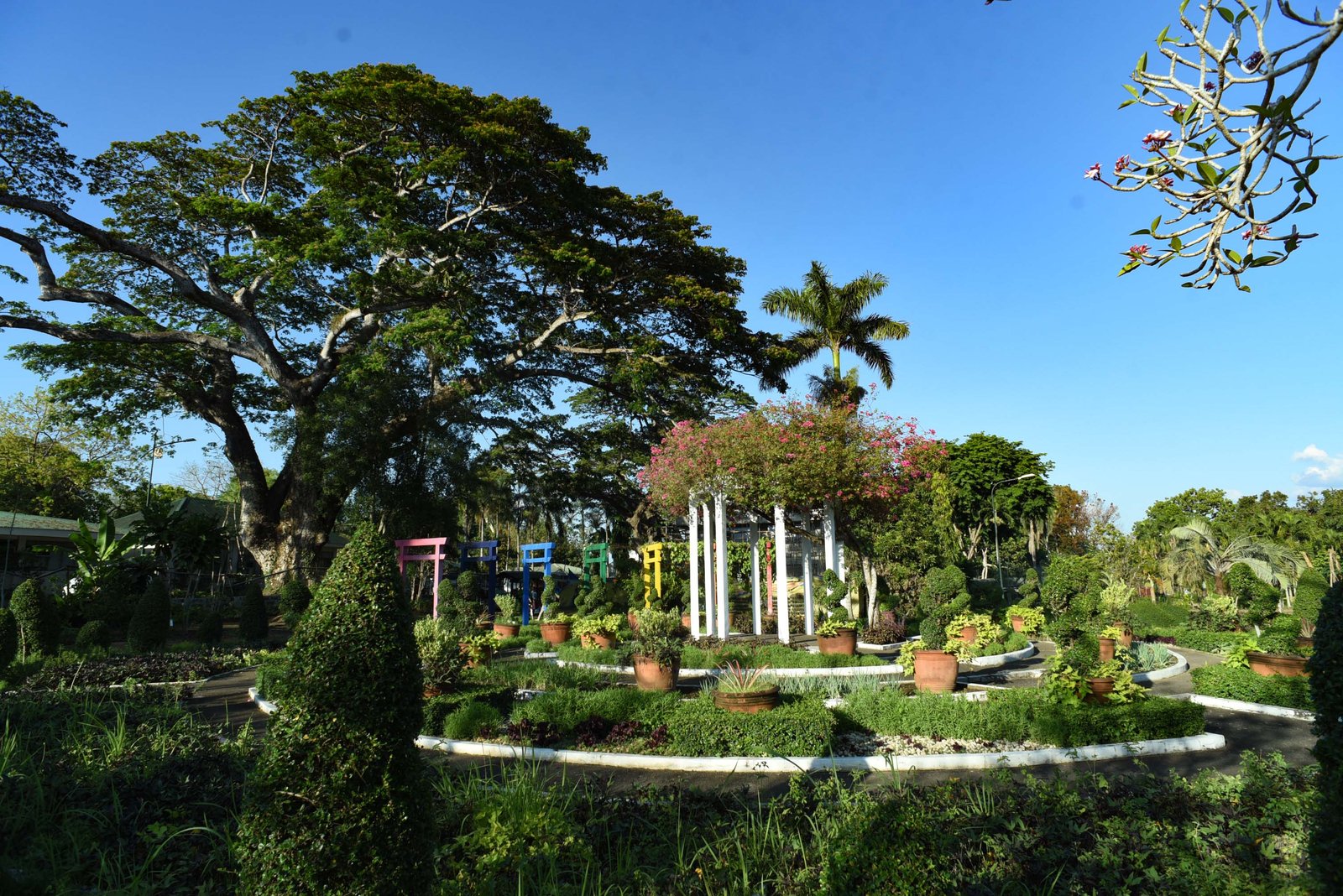 look: up los banos' stunning edible garden | abs-cbn news