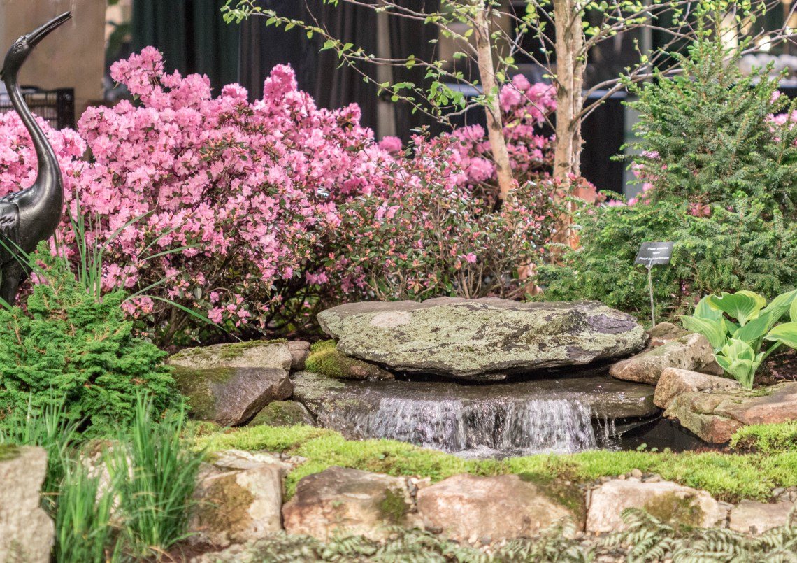 discover the beauty of balance at the boston flower show | angie the
