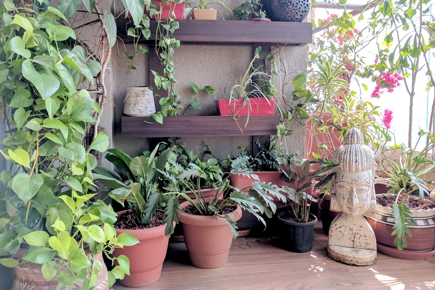 a balcony garden in mumbai: terrace reveal • one brick at a time