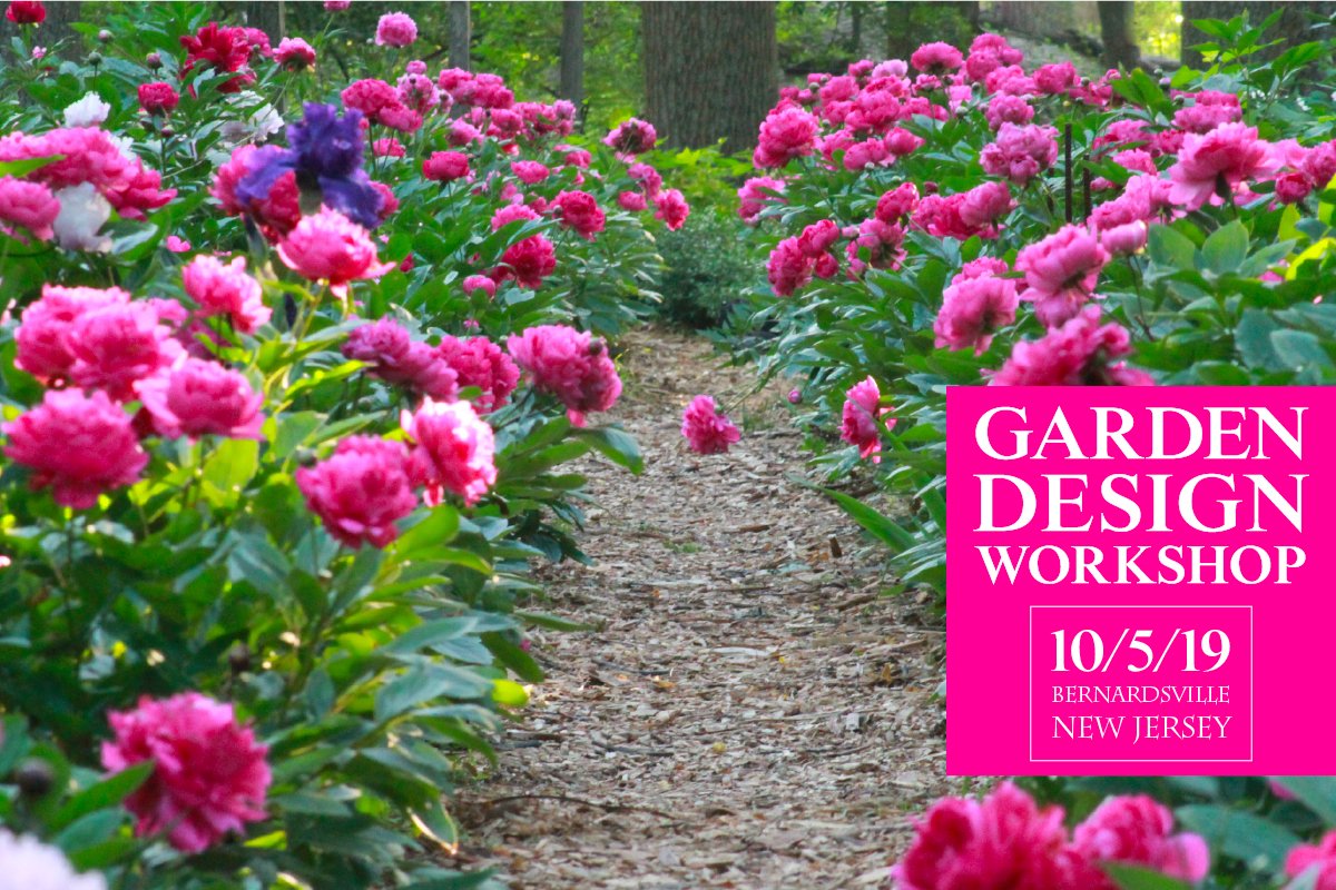 peony's envy flower farm | tree and herbaceous peonies