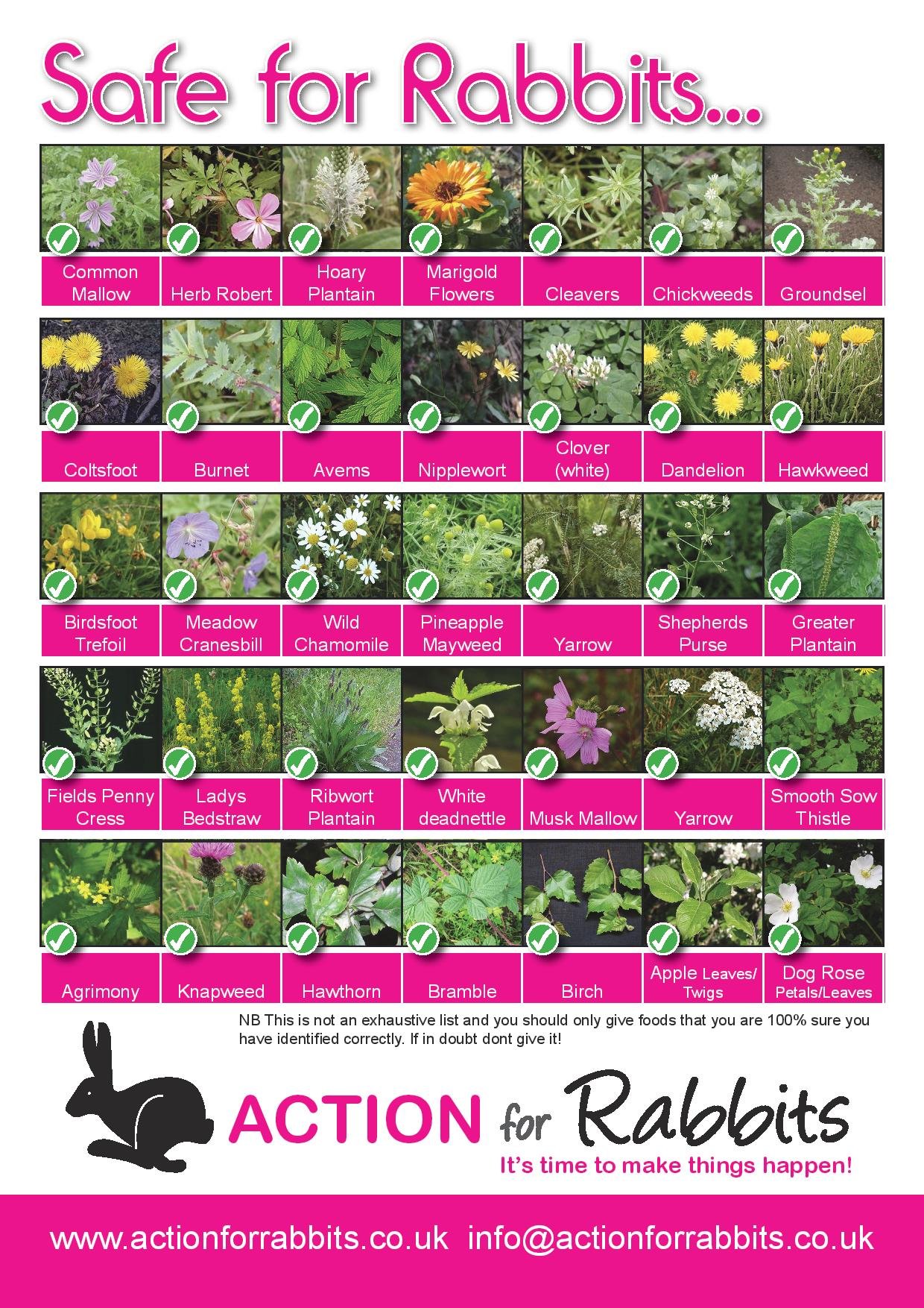 toxic & safe plants-page-001 | house rabbit society
