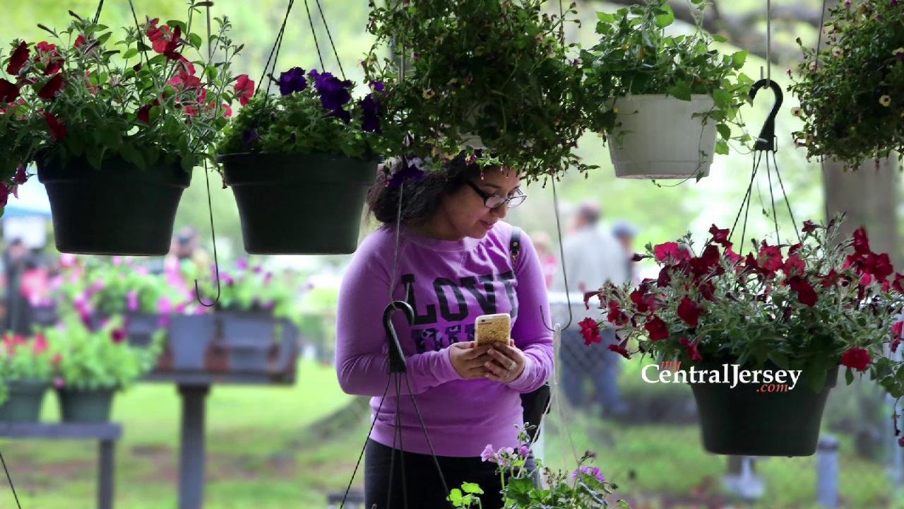 spring rutgers gardens plant sale