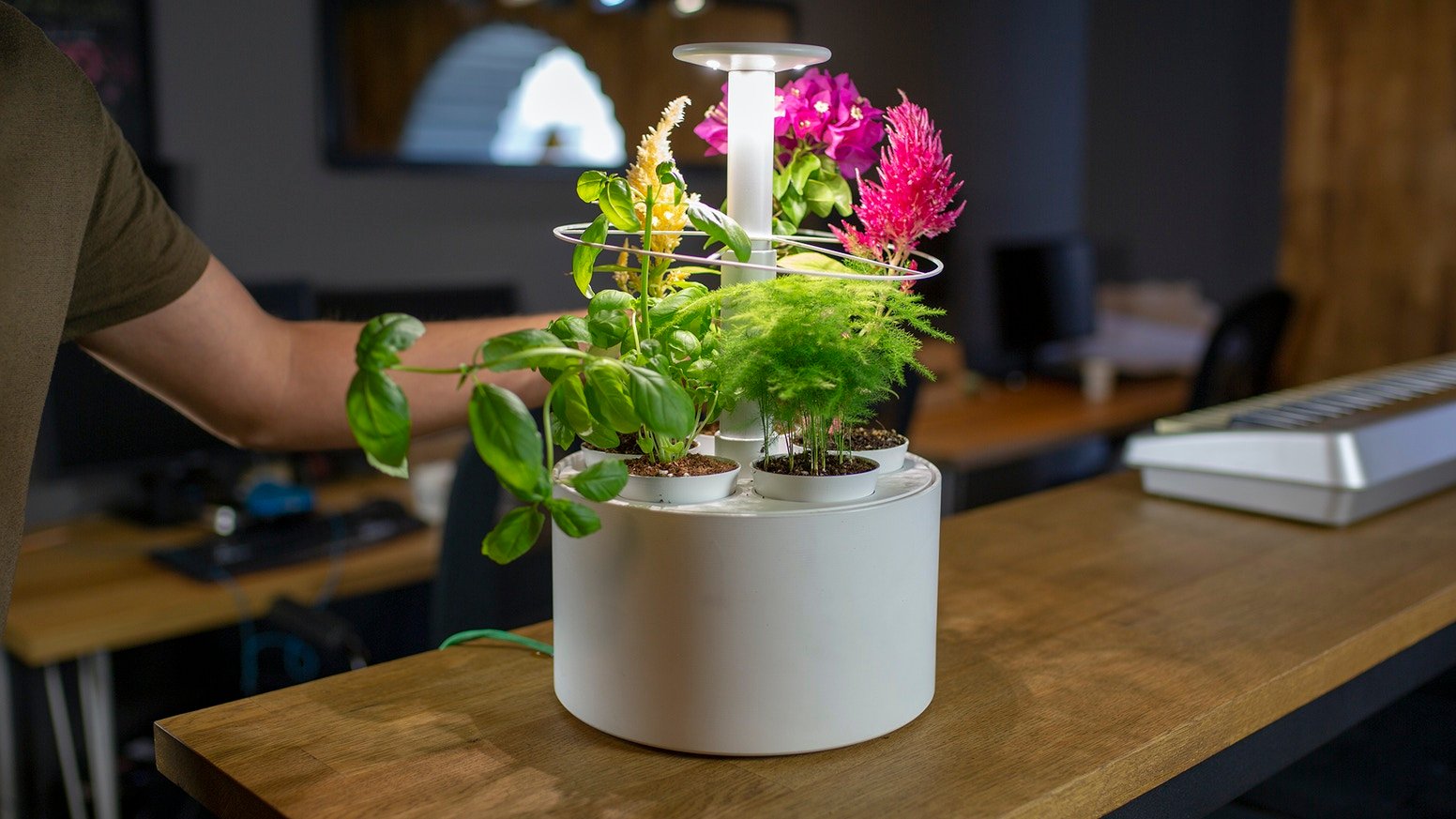 plantone: smartest mini indoor garden by plantone — kickstarter