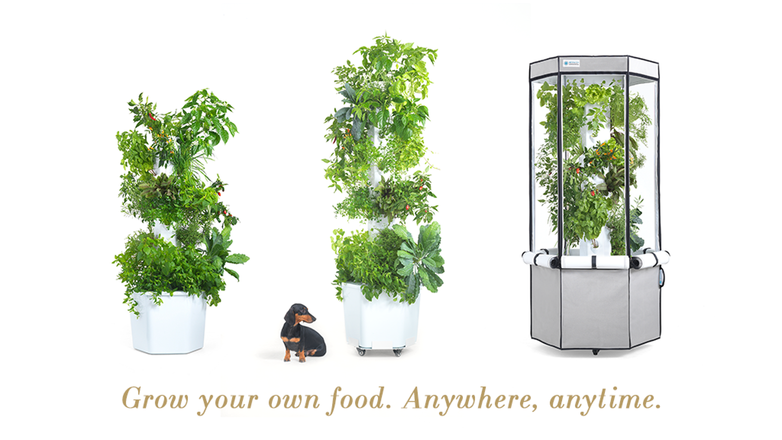 aerospring: the versatile, vertical garden for everyone by