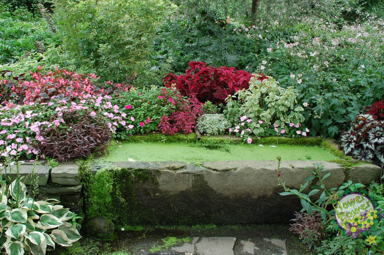 lawn care, landscape design, lawn care specialists- burtonsville, md