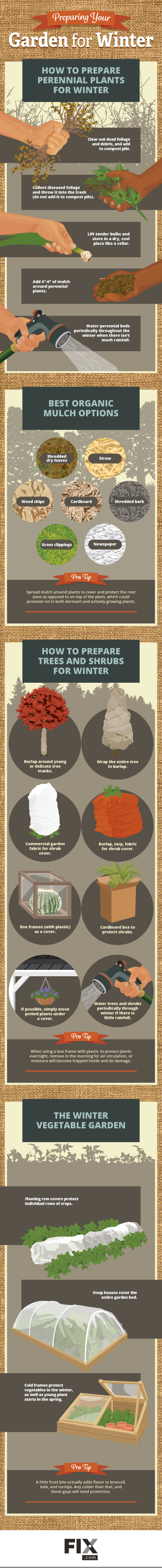 tips for protecting your garden in winter | fix