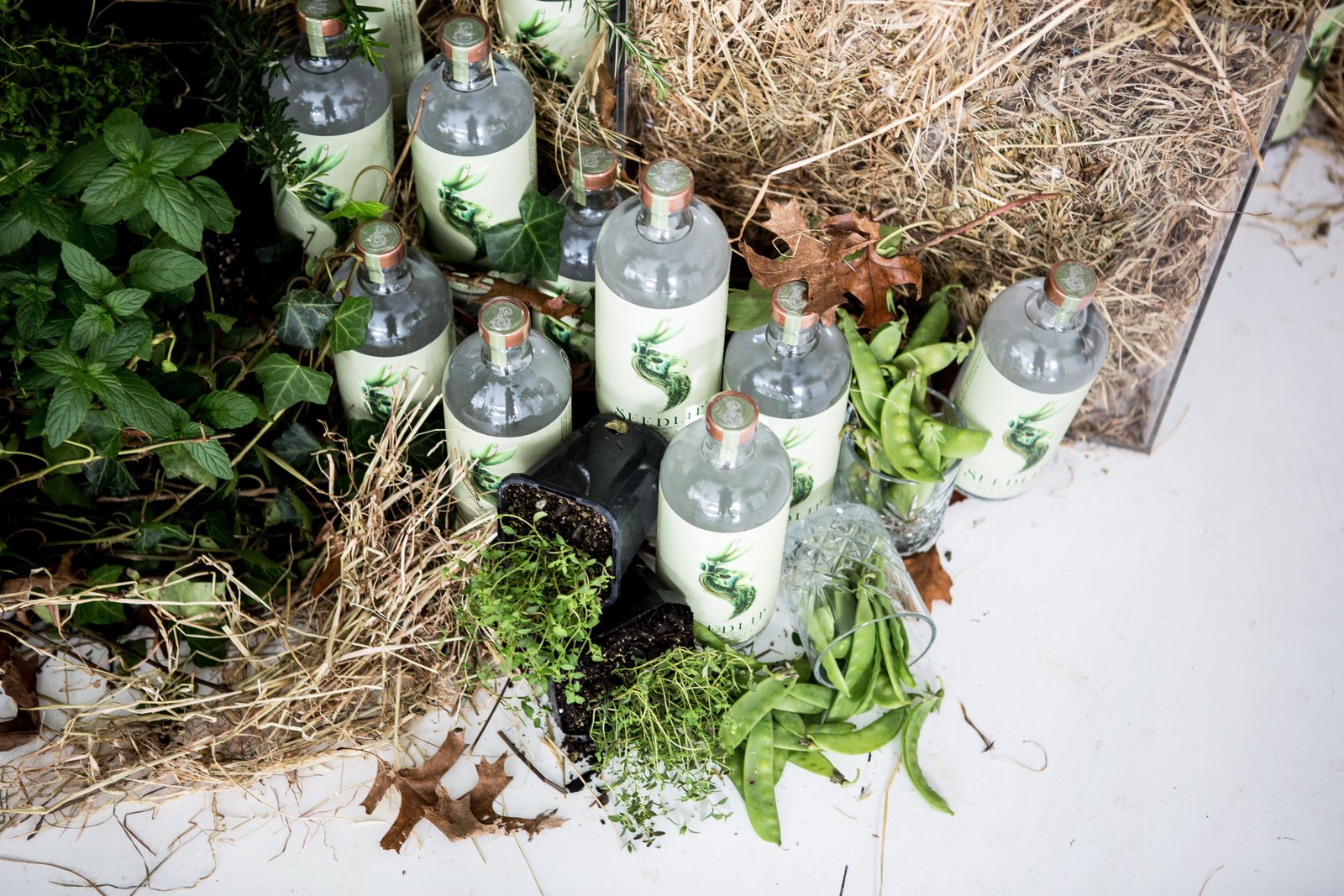 where to find non-alcoholic cocktails near rhs chelsea flower show