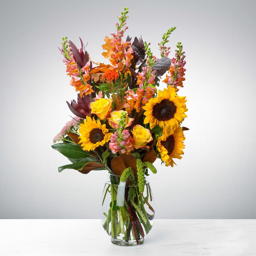 hello fall in roswell, ga | roswell garden flowers
