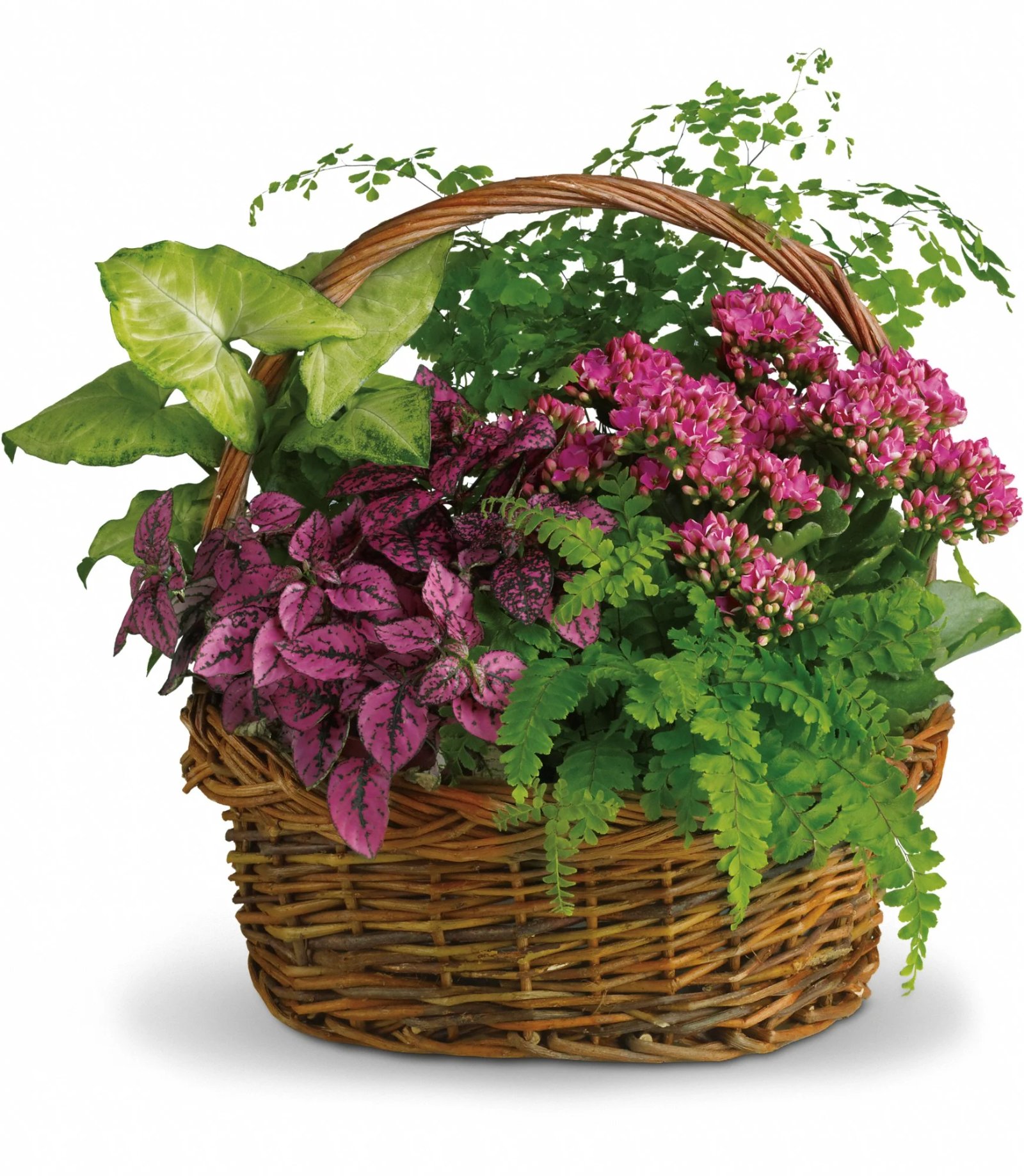 secret garden basket t96-2a in kansas city, mo | steve's floral shop