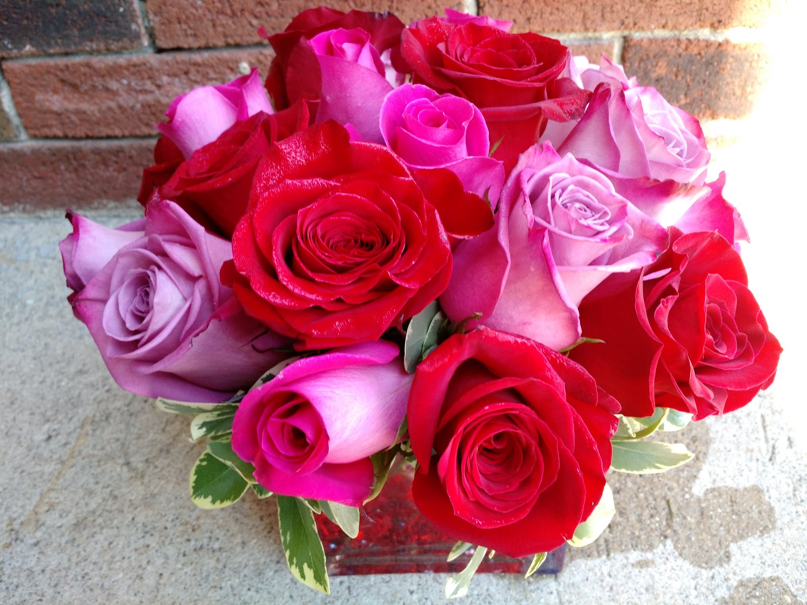 vibrant love in londonderry, nh | harrington flowers