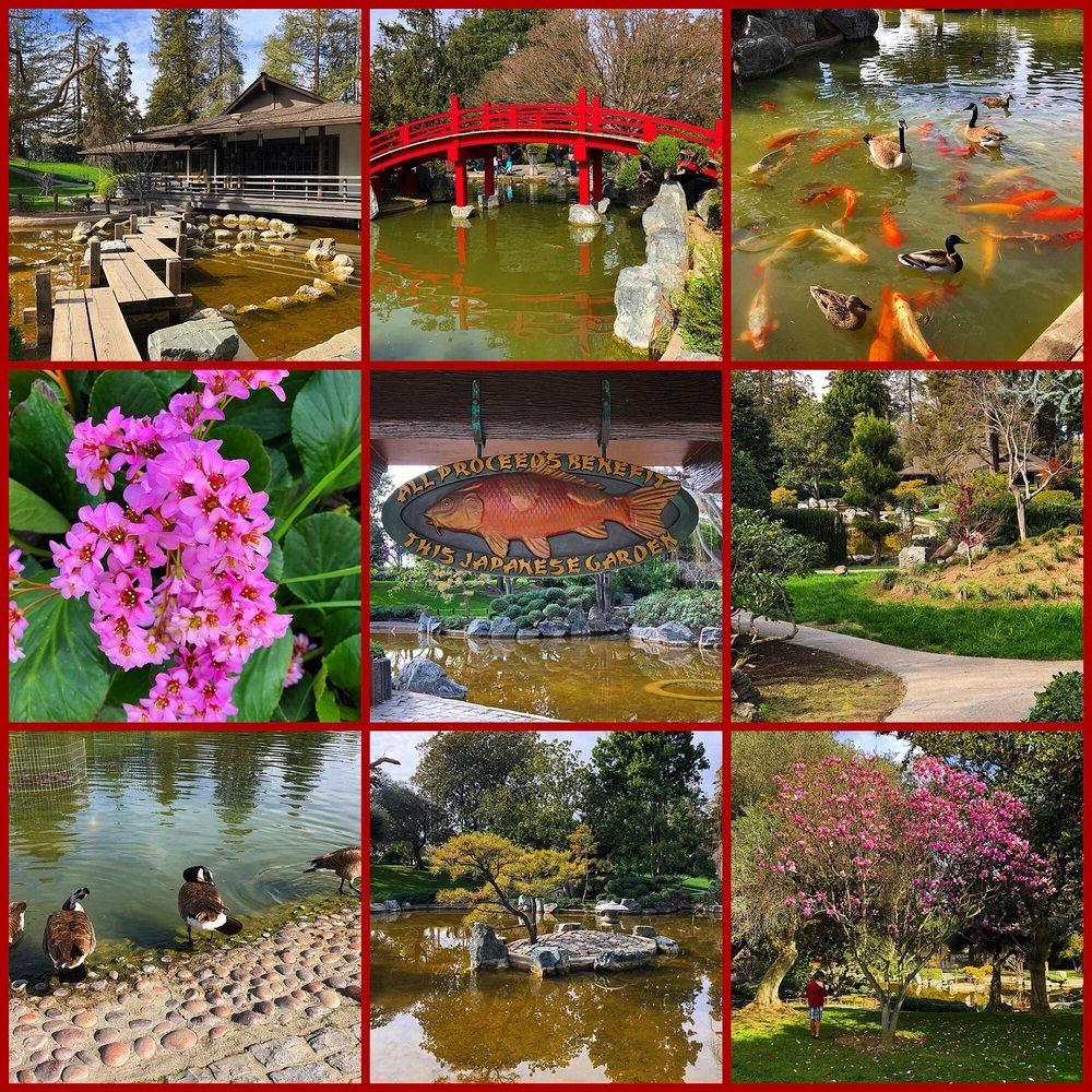 montage of images from the japanese friendship garden - yelp
