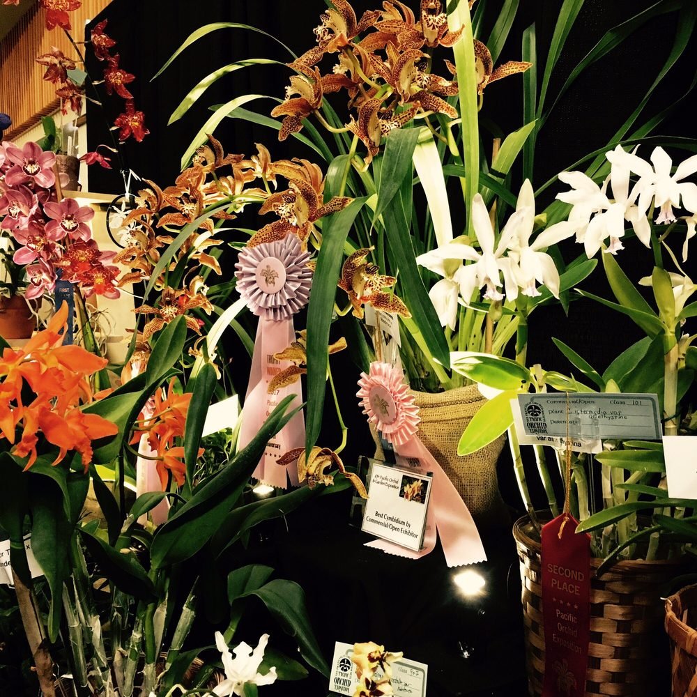 san francisco orchid society - 290 photos & 29 reviews - community
