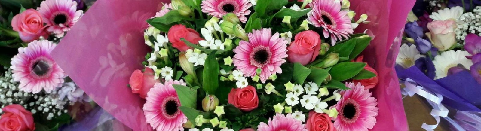 hartwell nurseries - big on plants, small on prices | garden centre