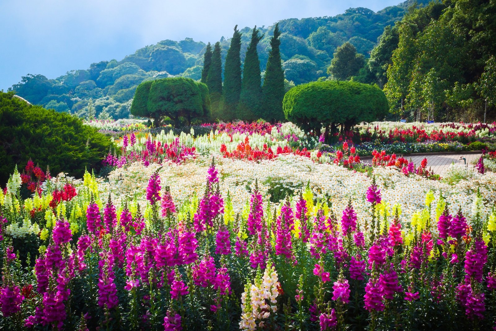discover the finest flower shows in europe - unique tours factory