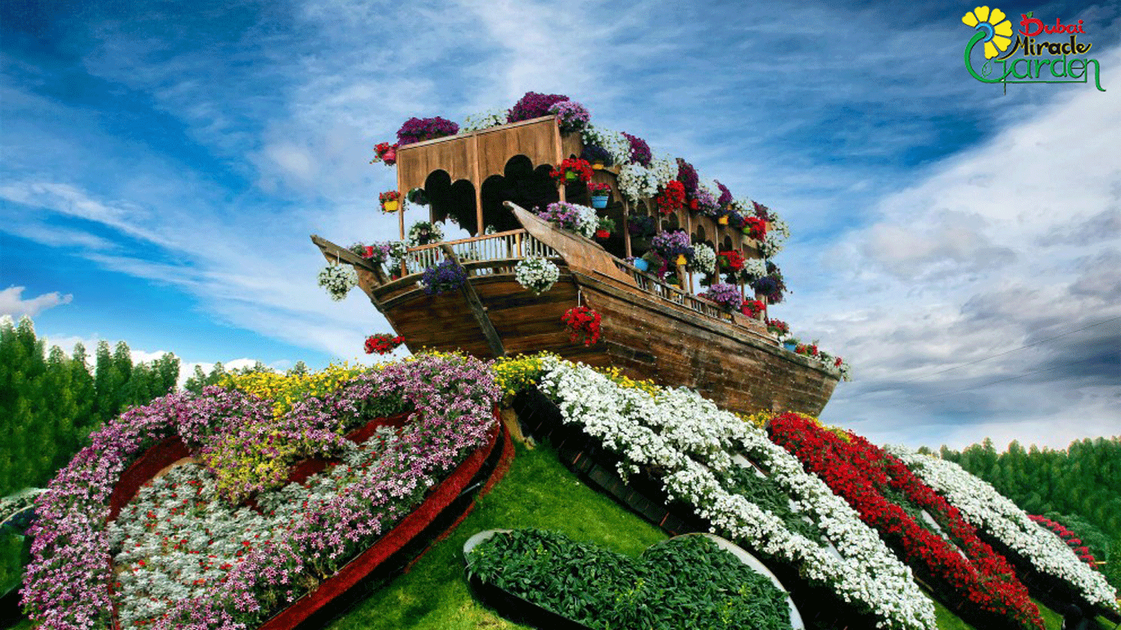 dubai miracle garden: world's largest flower garden | cnn travel
