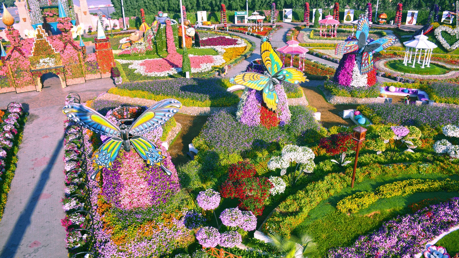 dubai miracle garden: world's largest flower garden | cnn travel