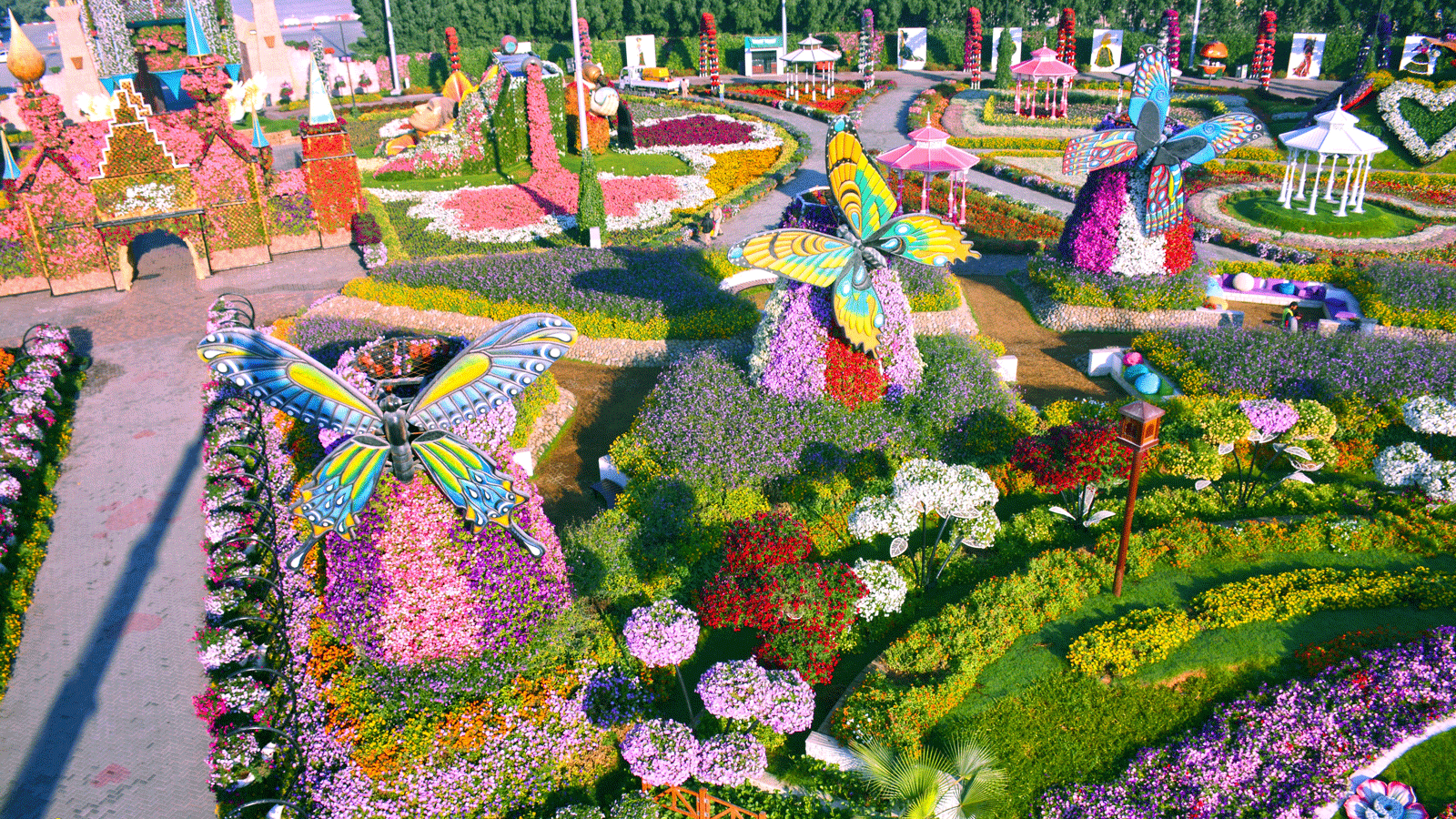 dubai miracle garden: world's largest flower garden | cnn travel