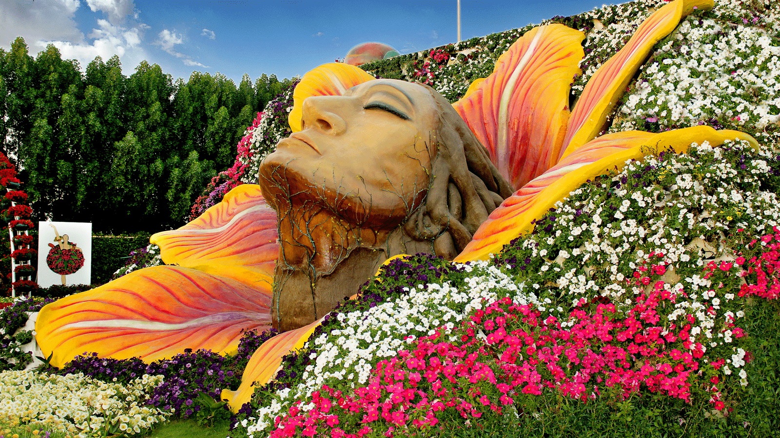 dubai miracle garden: world's largest flower garden | cnn travel