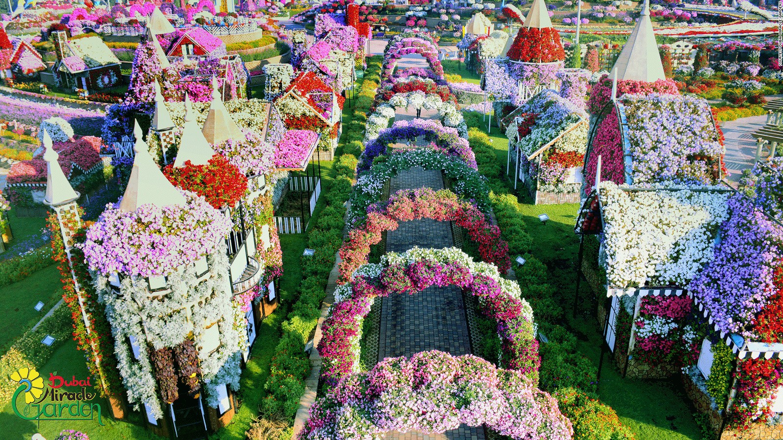 dubai miracle garden: world's largest flower garden | cnn travel