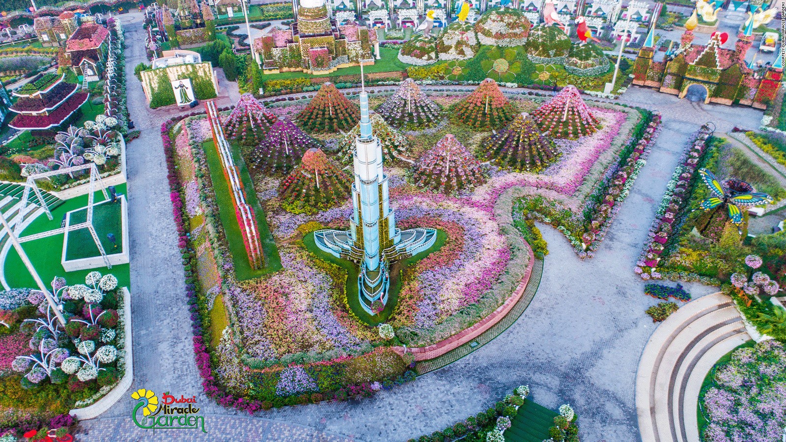 dubai miracle garden: world's largest flower garden | cnn travel