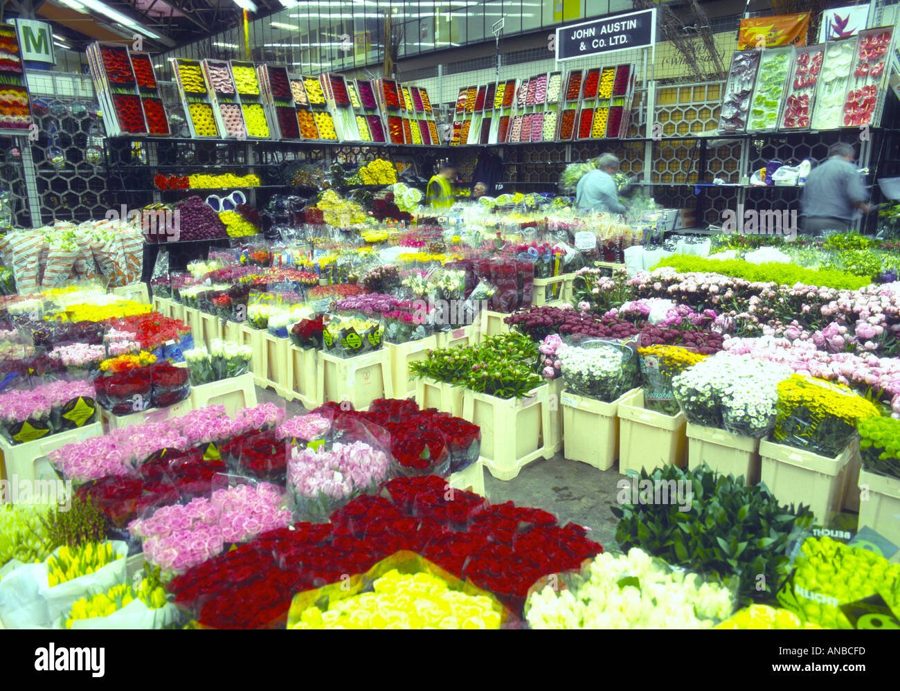 uk london new covent garden flower market 2001 stock photo: 1424636