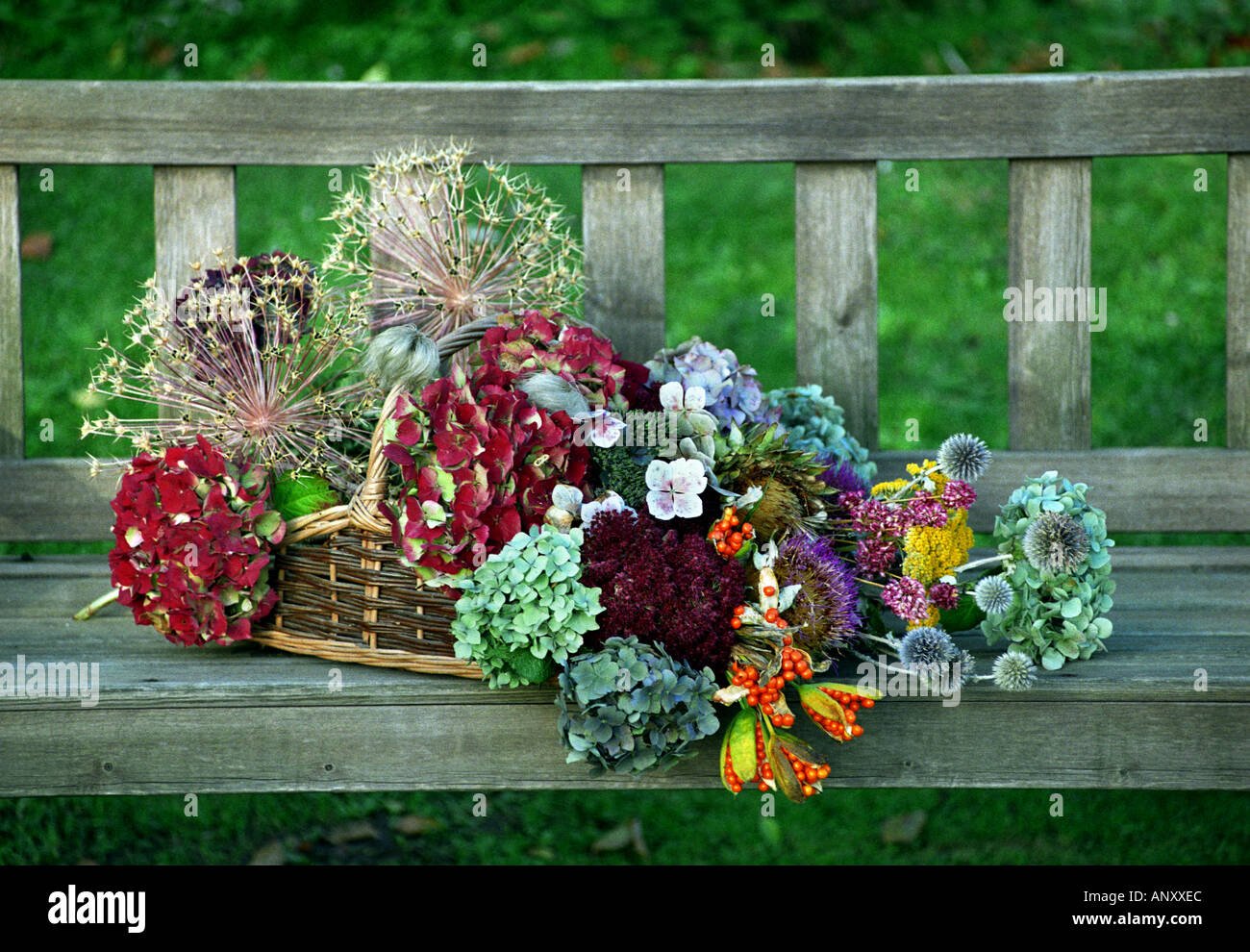a selection of dried flowers from stourton house flower garden stock