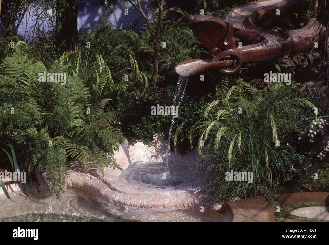 wooden water feature planted with ferns in the 100 pure new zealand