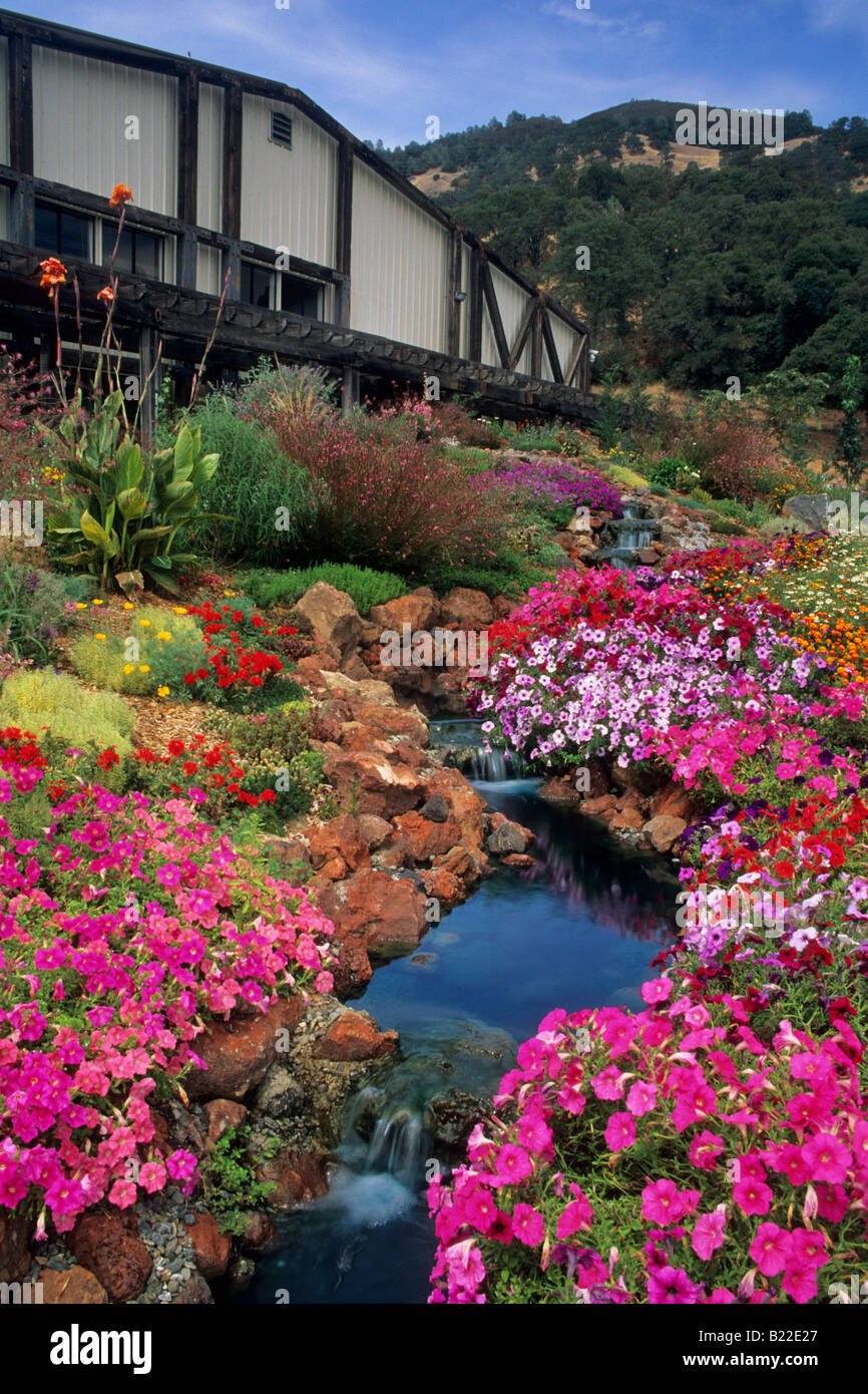 flower gardens at tulip hill winery nice along clear lake lake