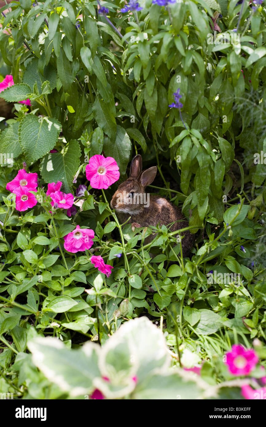 epcot flower and garden show epcot center walt disney world orlando