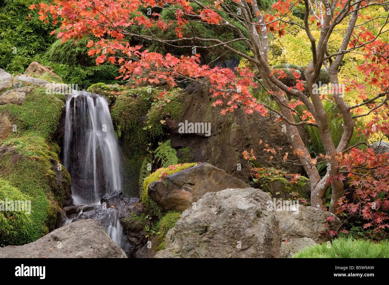 japanese tea garden in golden gate park san francisco california