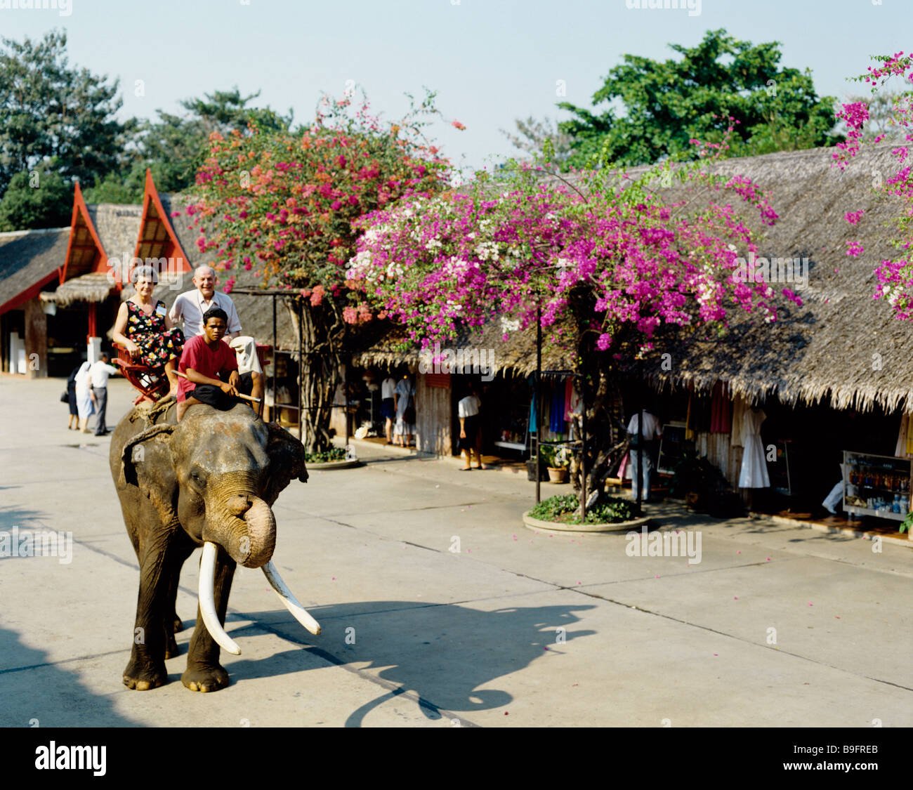 thailand bangkok rose garden stock photo: 23089987 - alamy