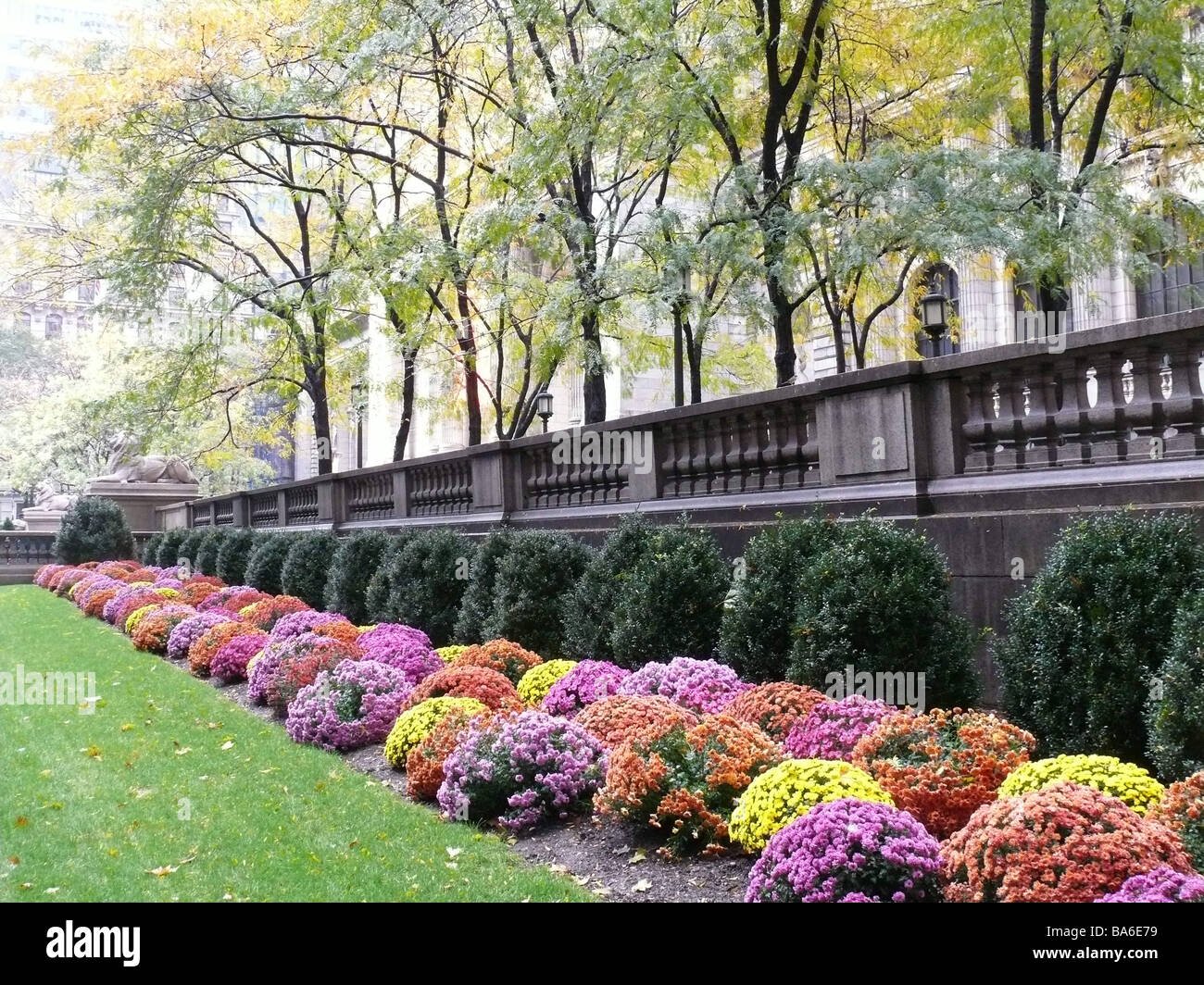 usa new york city new york public library outside garden flower beds