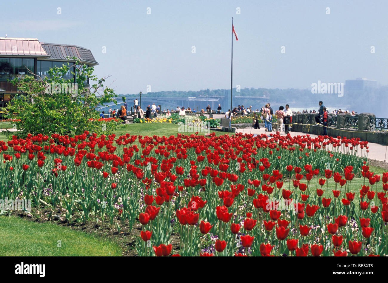 north america, canada, ontario, niagra falls. rose garden near stock