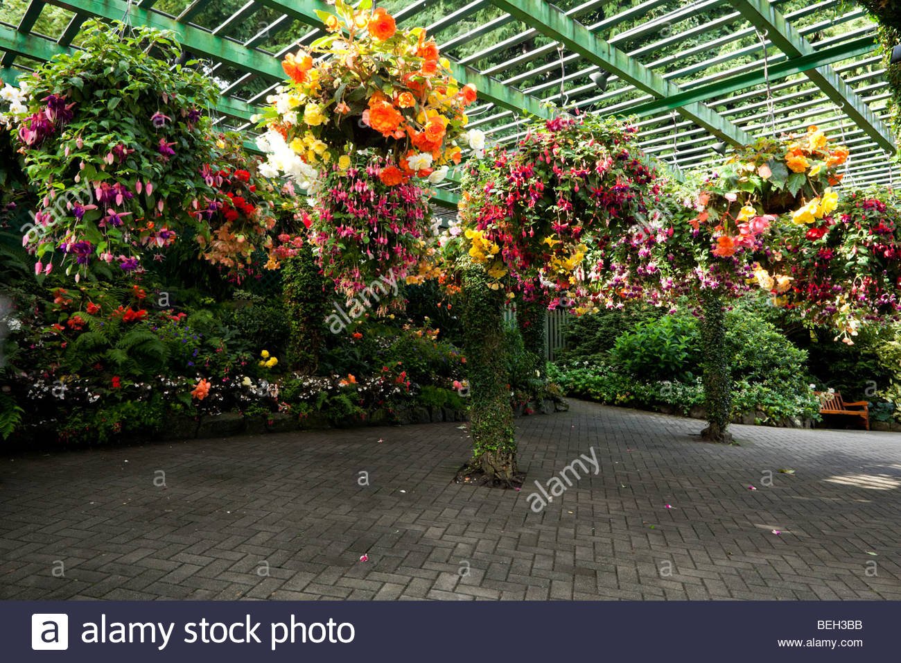 hanging flower baskets at the butchart gardens, vancouver island