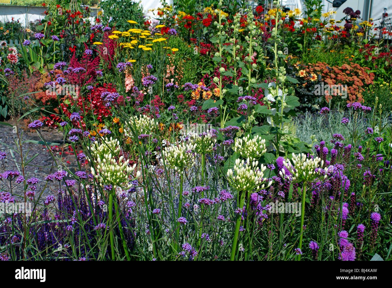 a colourful herbaceous flower border in a english country garden