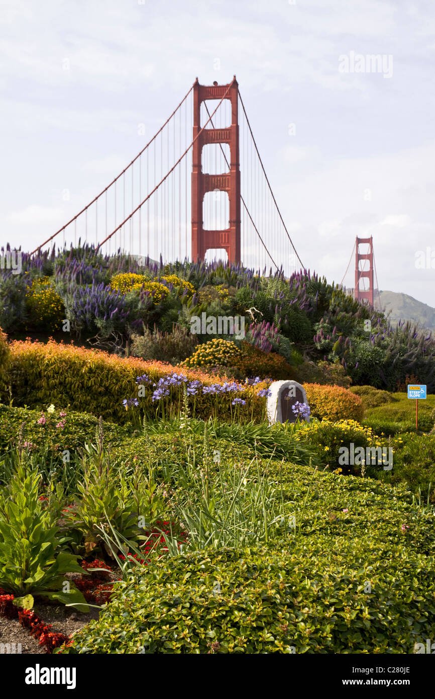 view of golden gate bridge and flower garden from viewpoint, san