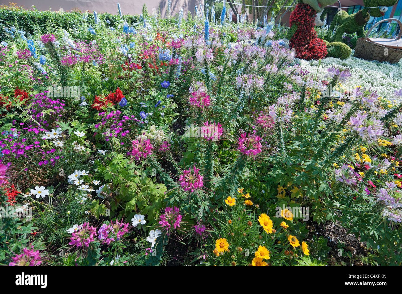 epcot center orlando florida annual flower & garden festival and