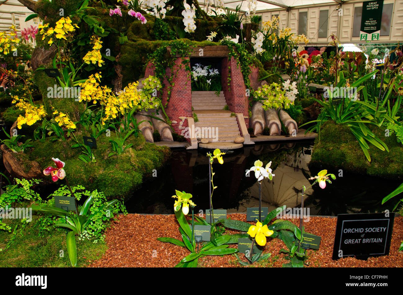 the orchid society of great britain in association with sri lanka