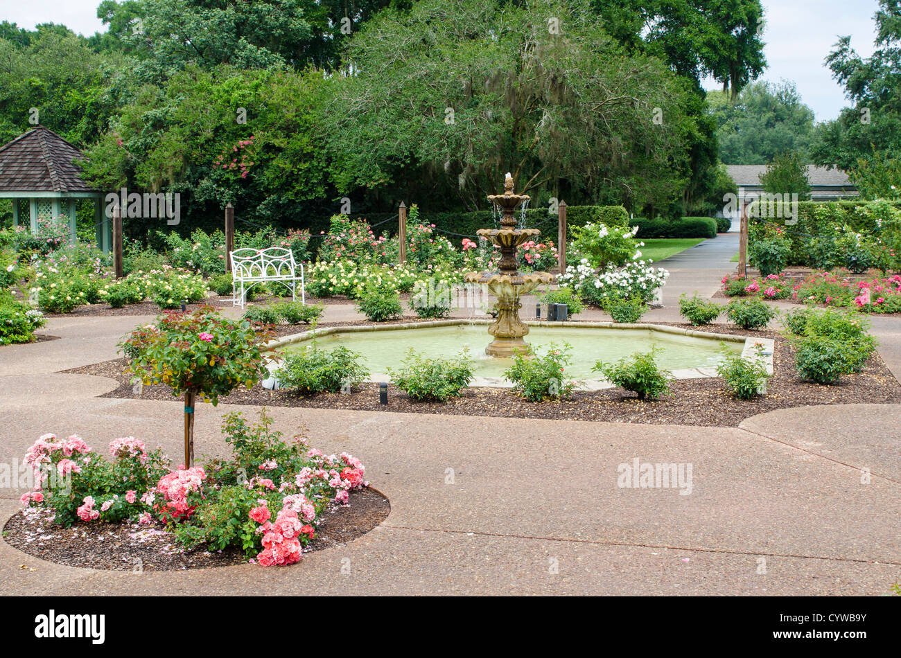 usa, florida. harry p. leu gardens orlando, florida stock photo