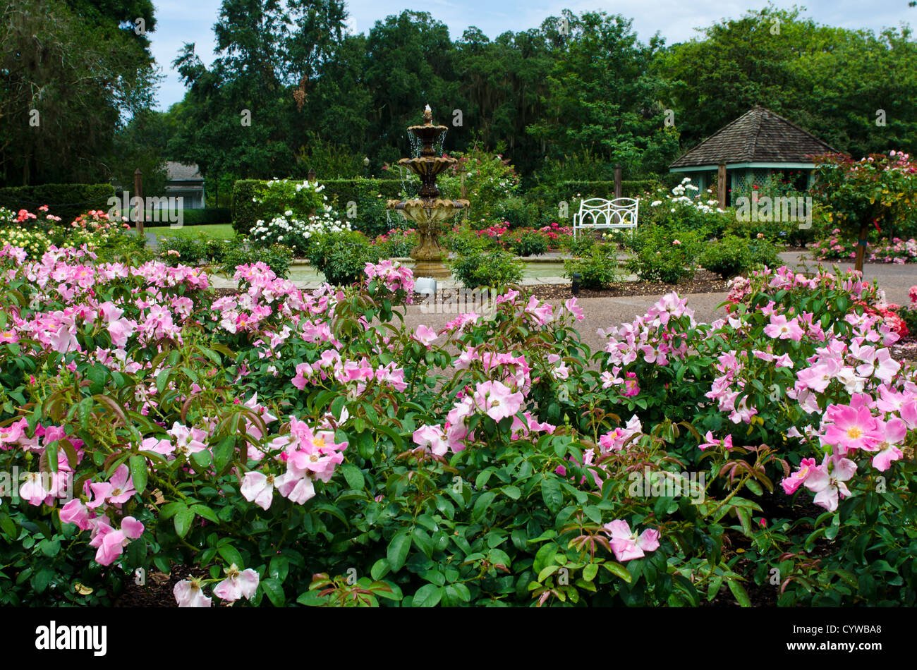 usa, florida. harry p. leu gardens orlando, florida stock photo